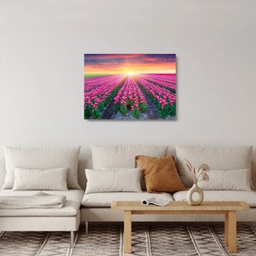 Tulipán mező és a nap képe (üvegen) (70x50 cm)