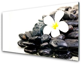 Akrilüveg fotó Virág Stones Art 100x50 cm