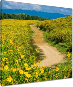 Vászonkép 50x50 Falusi tejút