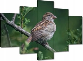 Festmények 150x105 A hétköznapi is lehet szép