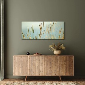 Kép - Réti pillanat (120x50 cm)