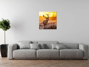 Gario Vászonkép Eros szarvas Méret: 100 x 70 cm