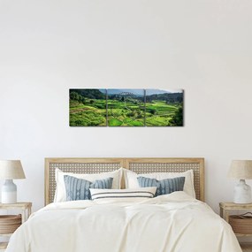 Rizsmező képe (órával) (90x30 cm)