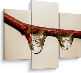 Vízcseppek a faágon képe (90x60 cm)