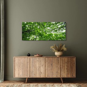 Kép - Kilátás a fák tetejére (120x50 cm)