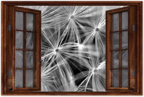 Poszterek 120x80 Pitypang Virág Virágok