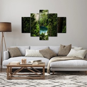 Kép - kilátás a fák között (150x105 cm)