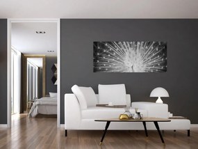Kép - Fehér páva (120x50 cm)