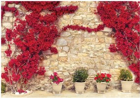 Fotótapéta virág fal fotótapéta 312 x 219