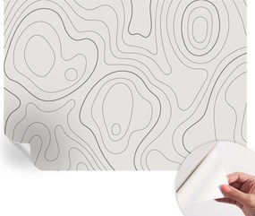 Fotótapéta Fali tapéta Hálószobába és Nappaliba Folyékony vonalak 208x146 cm