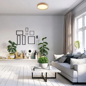 Rabalux 71143 - LED Mennyezeti lámpa LEANA LED/12W/230V 3000K átm. 26 cm