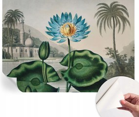 Dekoratív öntapadós tapéta Divatos minták Egzotikus táj 312x219