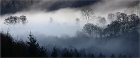 A köd képe az erdő felett (120x50 cm)