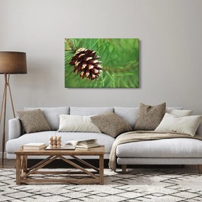 Fenyőtoboz képe (90x60 cm)