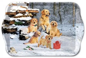 Golden retriever puppies karácsonyi műanyag tálca 13x21 cm