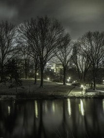 Poszter 60x80cm Central Park éjszaka 2, Assaf Frank