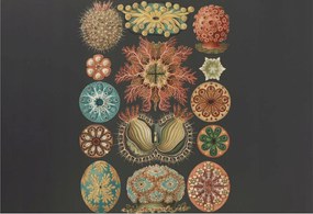 Fotótapéta Flizelin Fal a Hálószobába Tengeri inspirációk 152x104 Ragasztó