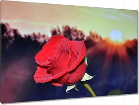 Festmények 120x80 Különböző a szeretett számára