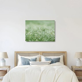 Üveg kép - Reggeli harmat a fűszálakon (70x50 cm)