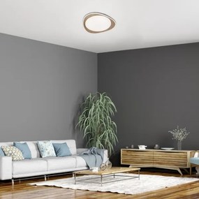 Rabalux 2427 - LED mennyezeti lámpa TAMINO LED/24W/230V