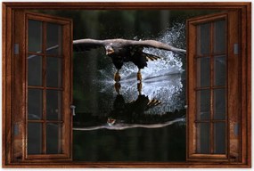 Poszterek 90x60 Madarak