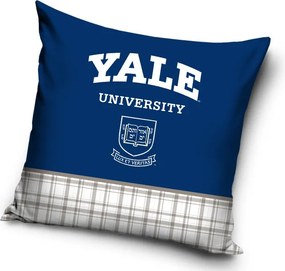 Yale University párnahuzat 40x40 cm