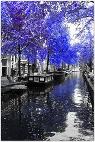 Poszterek 80x120 Búzavirág Amszterdam