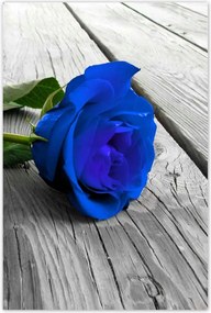 Poszterek 80x120 Kék rózsa a deszkákon