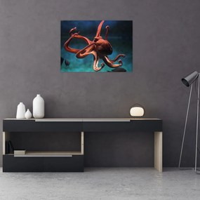 Kép - Octopus (70x50 cm)