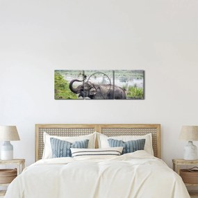 Kép - Fürdőző elefánt (órával) (90x30 cm)