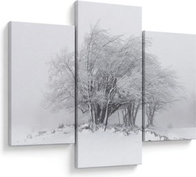Kép - fehér tél (90x60 cm)