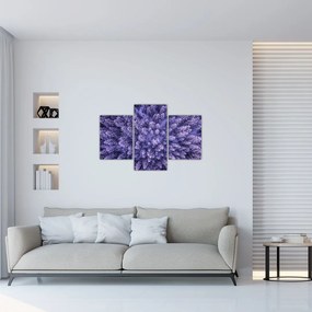 Havas fák képe (90x60 cm)