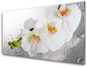 Akril üveg kép Virág növény természet 120x60 cm