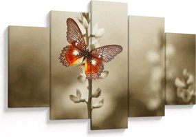 Pillangó képe (150x105 cm)