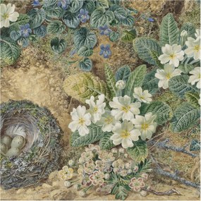 Divatos 3D Fali Tapéta Tavaszi kompozíció 250x250 Ragasztóval