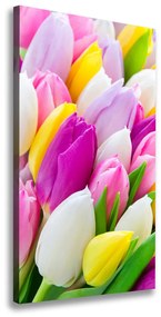 Vászonkép nyomtatás Színes tulipán ocv-104468261