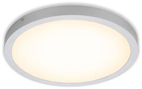 Briloner 7143-014 - LED Mennyezeti lámpa FIRE LED/24,5W/230V 3000K