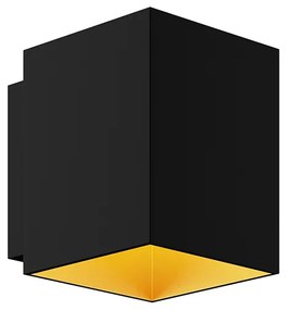 Sola