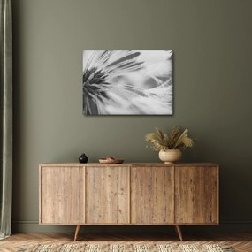 Kép - Pitypang (70x50 cm)