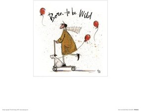 Művészeti nyomat Sam Toft - Born to be Wild