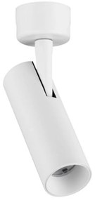 Colosio LED mennyezeti spotlámpa