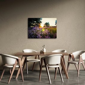 Egy levendulamező képe (70x50 cm)