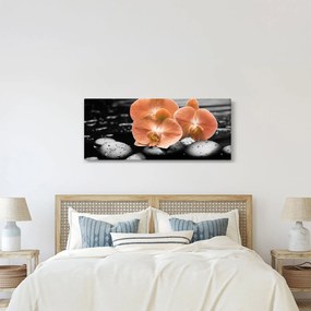 Kép - Narancssárga orchideák (120x50 cm)