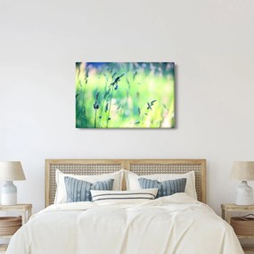 Kép - Rét részlete (90x60 cm)