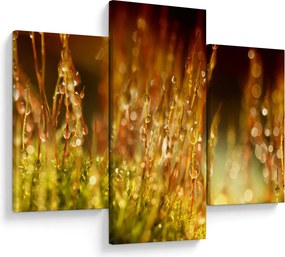 Kép - Harmat részlete (90x60 cm)