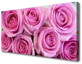 Vászonkép falra Rózsa virágok Plant 125x50 cm
