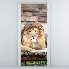 Fotótapéta ajtóra - Oroszlán (95x205cm)