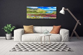 Vászonkép nyomtatás Top Bay Mező Természet 100x50 cm