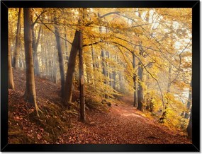 Poszterek keretben 40x30 Tájkép Látvány