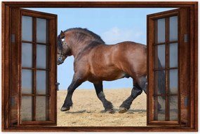 Poszterek 120x80 Erős ló